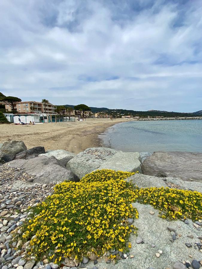 Studio 150 M De Plage Golfe De Saint-Tropez Cavalaire-sur-Mer Eksteriør billede